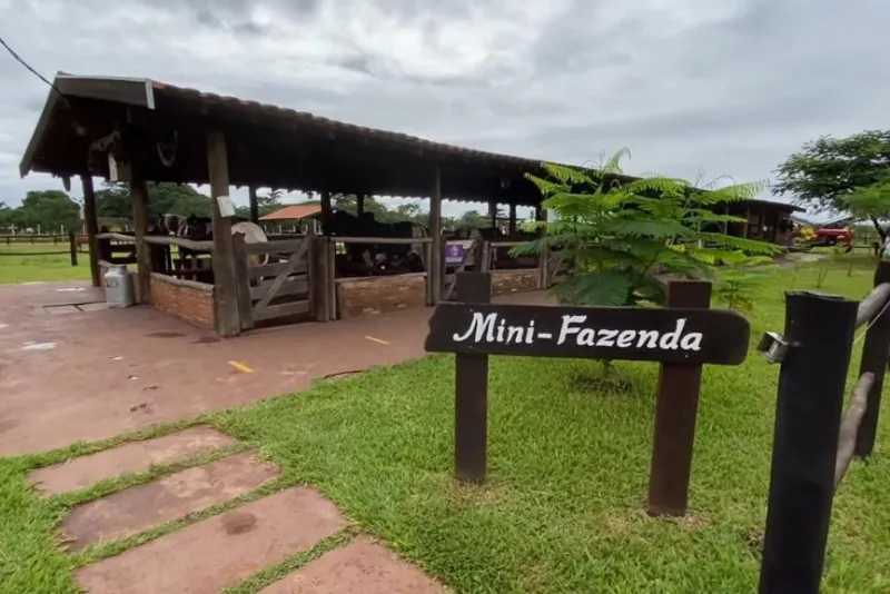 Fazendinha 20